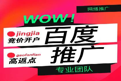 SEM竞价优化技巧分享：成功案例揭秘